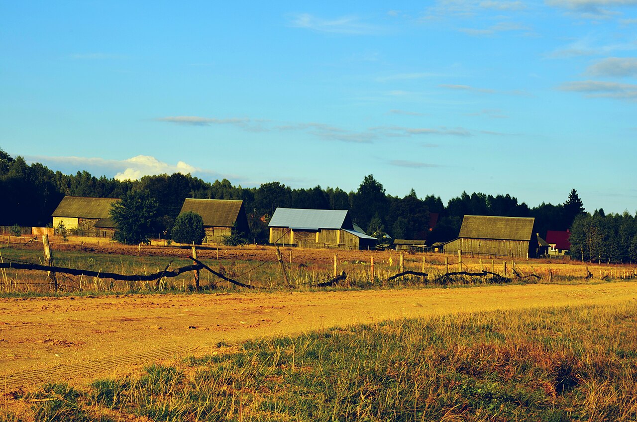 Domowy jogurt grecki z Podlasia – przewodnik dla klientów i małych sprzedawców