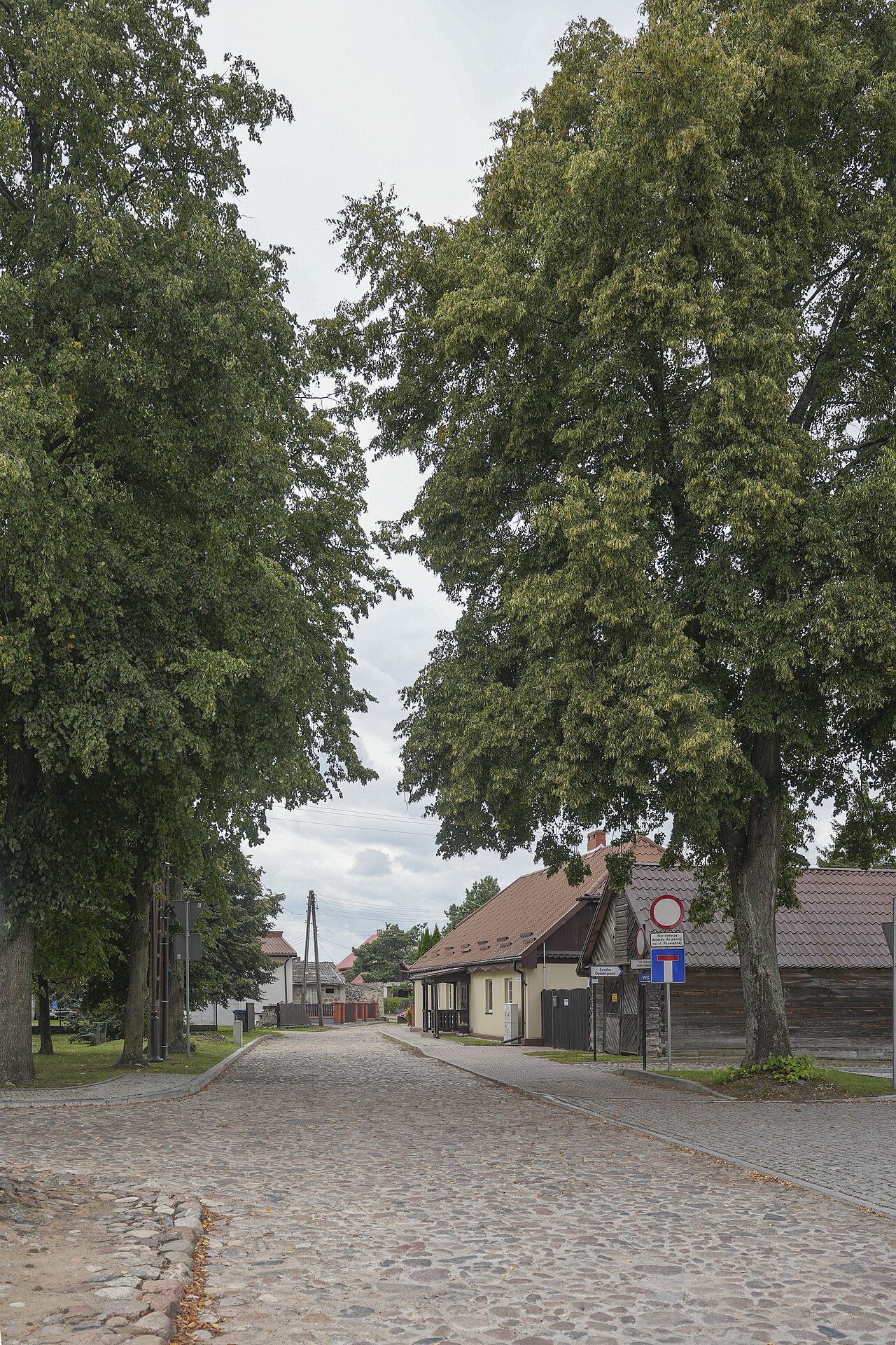 Jabłka regionalne z Podlasia – praktyczny przewodnik dla sprzedawców i klientów