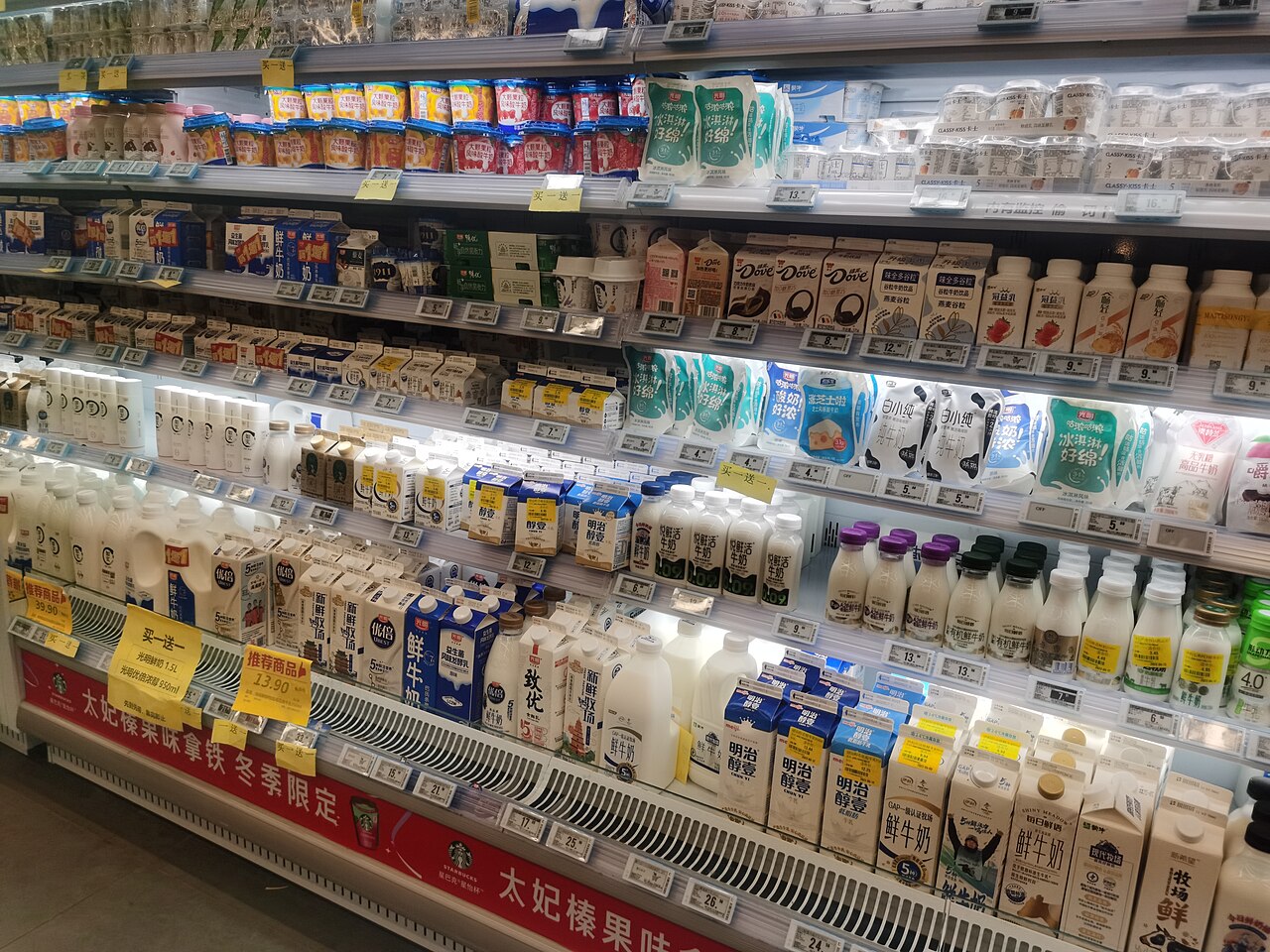 Jogurt i kefir domowy – praktyczny przewodnik dla małych sprzedawców z Podlasia