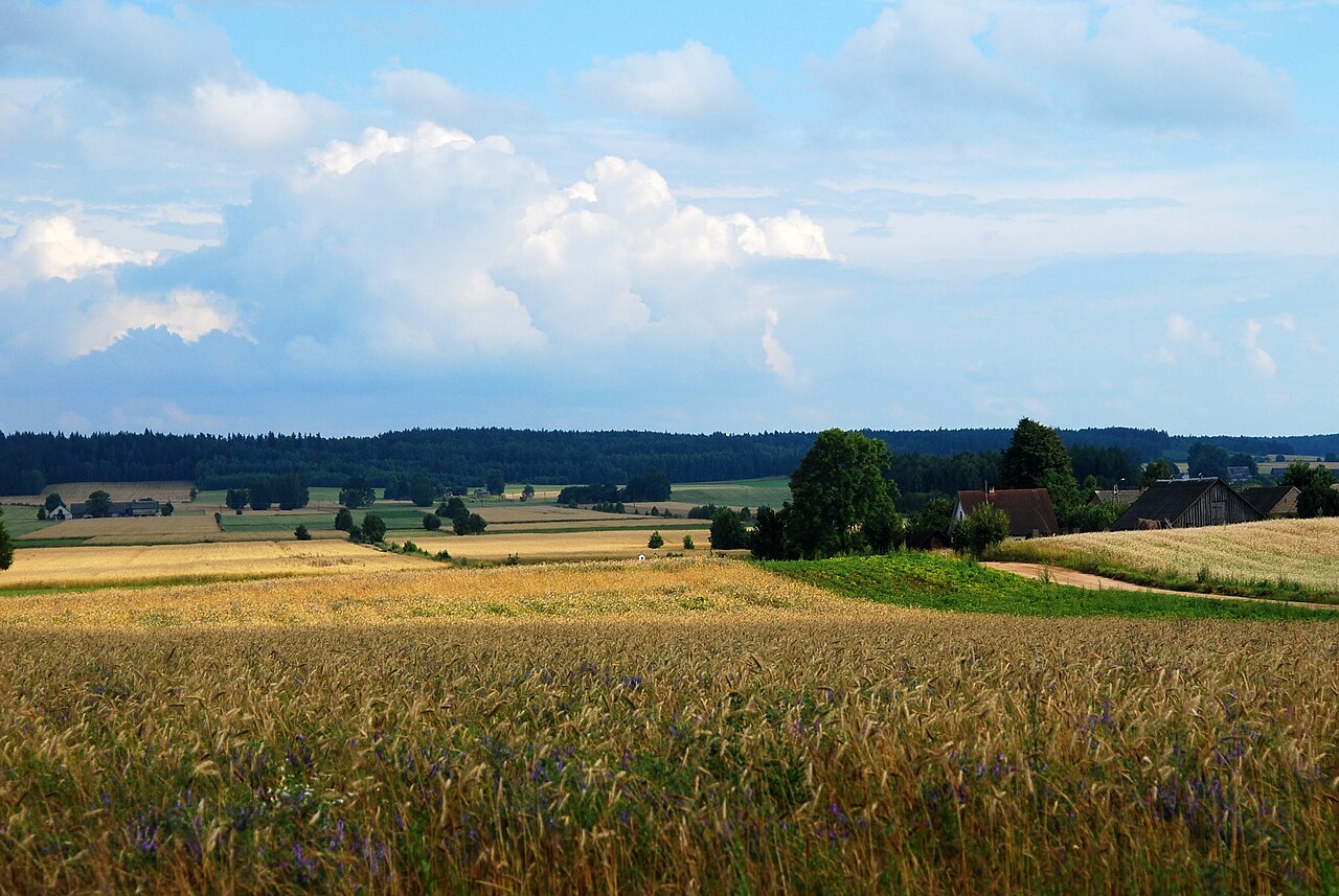 Ślimaki podlaskie – hodowla, jakość i sprzedaż lokalna