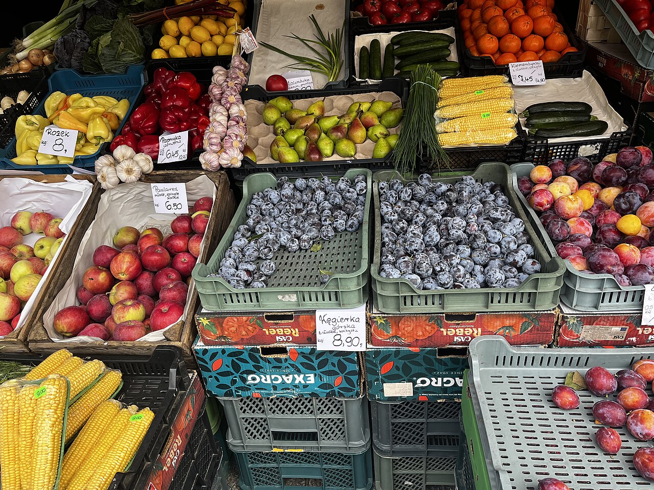 Truskawki i maliny z Podlasia – przewodnik dla małych sprzedawców i klientów lokalnych
